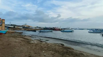 موجة برودة شديدة تهيمن على القاهرة والمحافظات.. تفاصيل الطقس اليوم